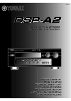 Yamaha DSPA-2 - Owners Manual 